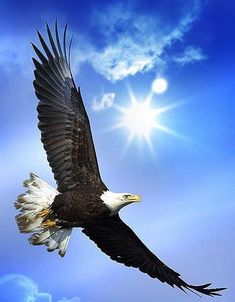 soaring on wings like eagles